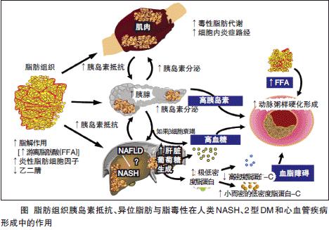 肝抑郁有什么方法缓解 (肝抑郁有什么症状)