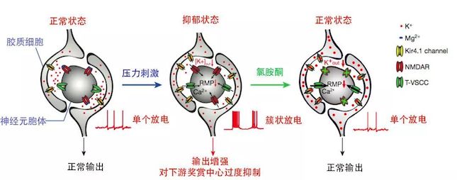 治疗精神抑郁