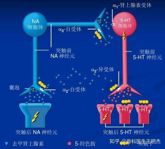 抑郁会浑身痛无力吗 (抑郁会浑身痛吗)