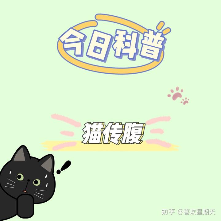 可以给猫买医保吗 (买猫可以治疗抑郁症吗)