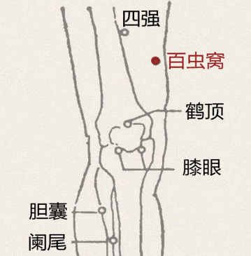 四逆汤加乌梅的功效 (四逆汤加乌梅治疗抑郁症)