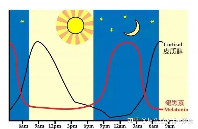 褪黑素为啥会助眠 (褪黑素为啥会加重抑郁)