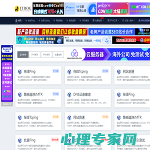 ITDOG - 在线ping_在线tcping_网站测速_HTTP测速_API测速_路由追踪_在线MTR_DNS查询_ITDOG-云邦畅想