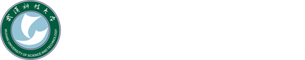 武汉科技大学